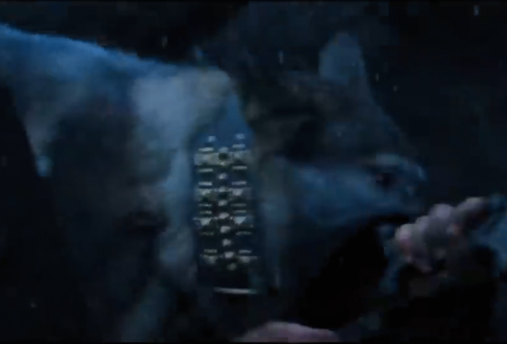 a blurry photo of a dog with an embossed bronze collar biting a man lying on the ground